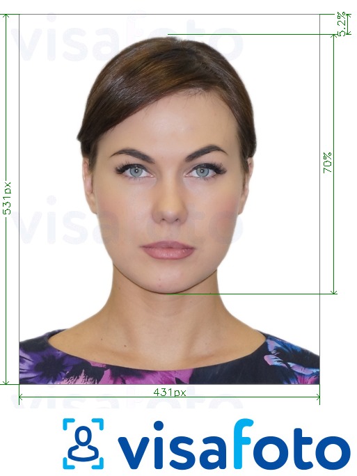 Příklad fotografie Brazílie Passport on-line 431x531 px s přesnou specifikací velikosti