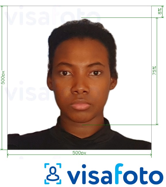 Příklad fotografie Kamerun vízum online 500x500 px s přesnou specifikací velikosti