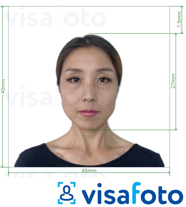 Příklad fotografie Japonsko Visa 45x45mm, hlava 27 mm s přesnou specifikací velikosti