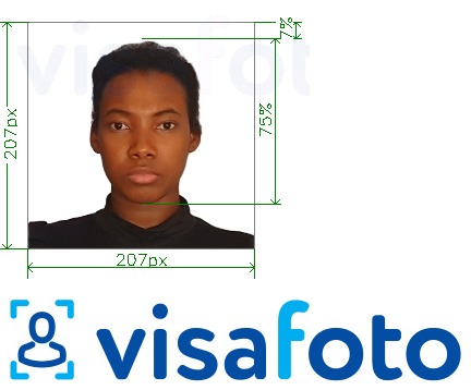 Příklad fotografie Keňské vízum 207x207 pixelů s přesnou specifikací velikosti