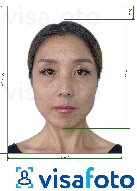 Příklad fotografie Singapur pas online 400x514 px s přesnou specifikací velikosti